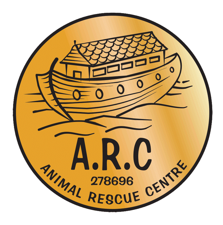 animal rescue centre