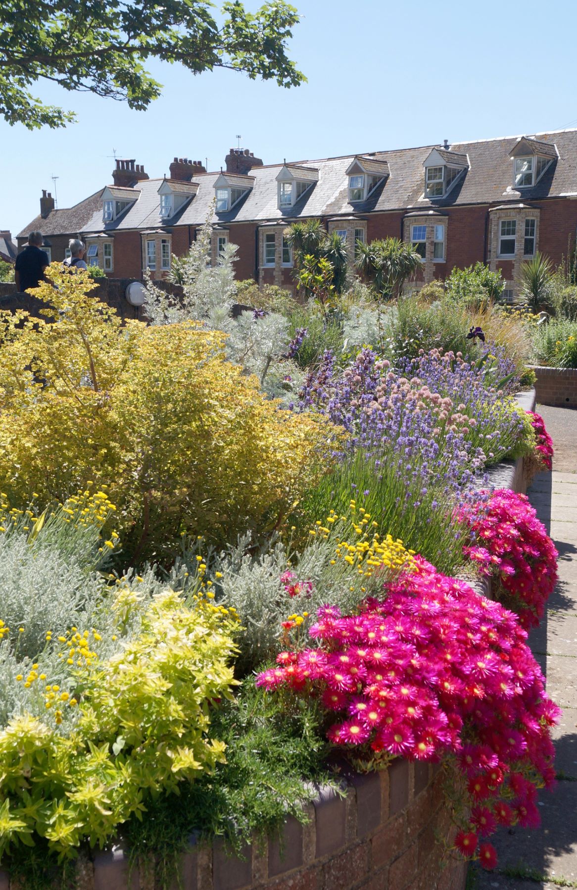 Meet the Sidmouth in Bloom Team - Sidmouth Town Council