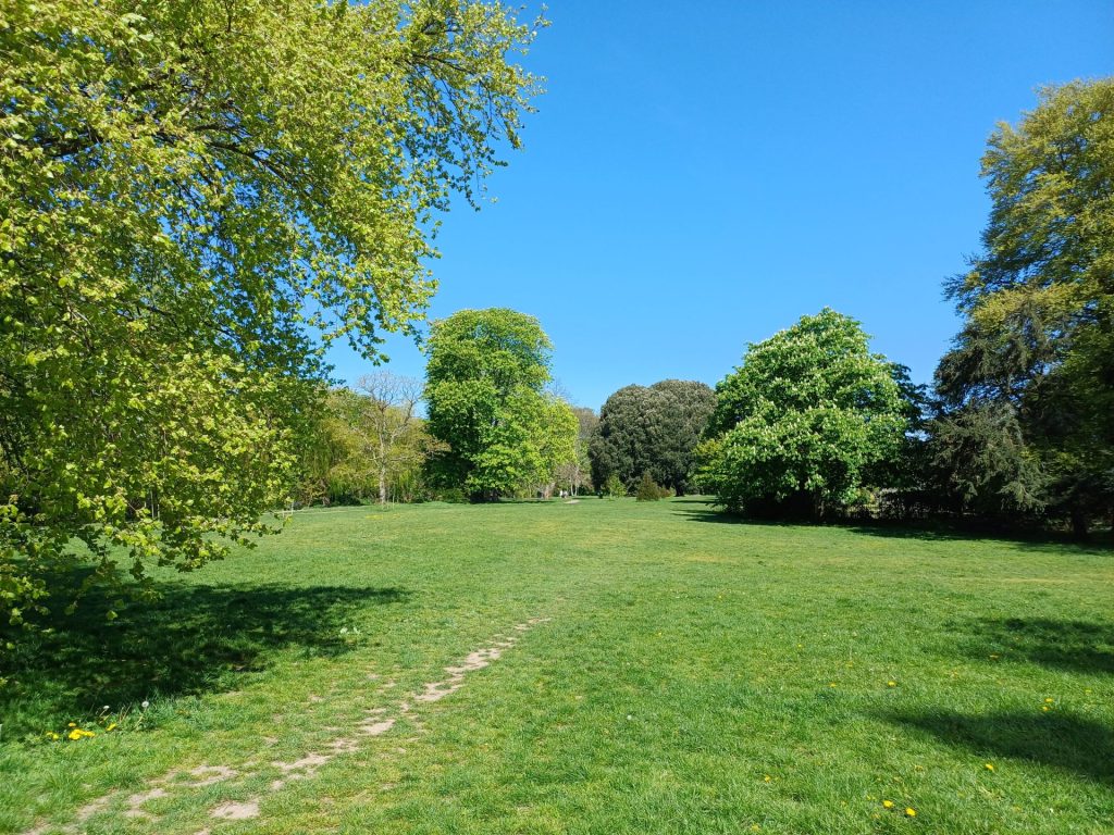 Sidmouth Museum Guided Walks - Tree Walks - Sidmouth Town Council